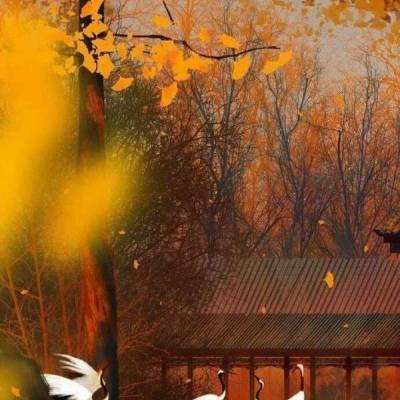 光之神迹召唤bt版下载